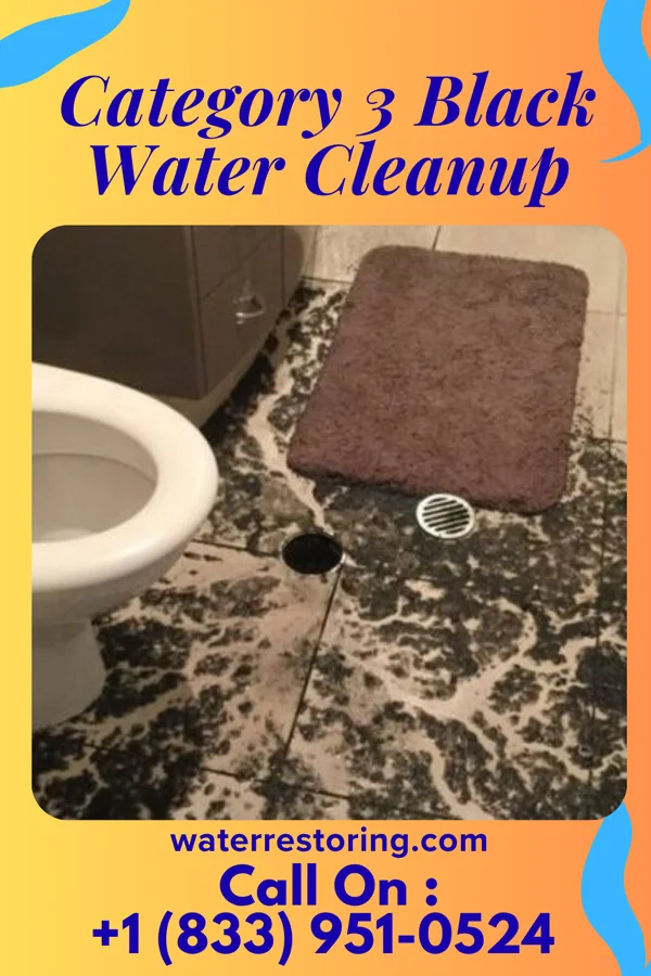 Category 3 Black Water Cleanup in Wabaunsee, KS